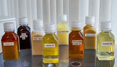 Sample bottles of raw materials used to make biodiesel